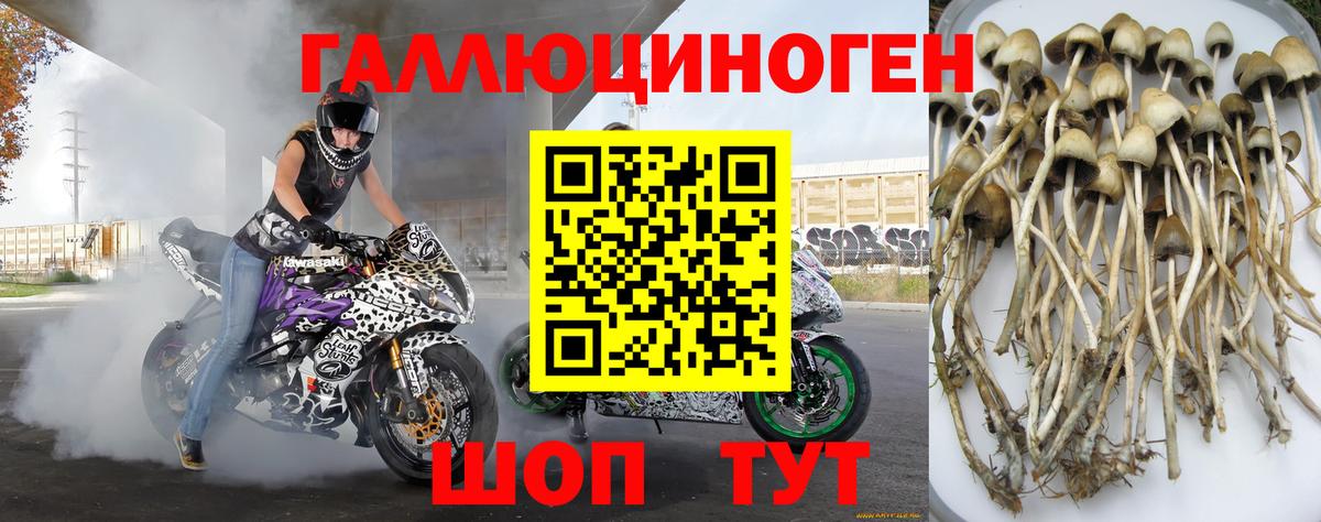 Галлюциногенные грибы прущие грибы Бутурлиновка